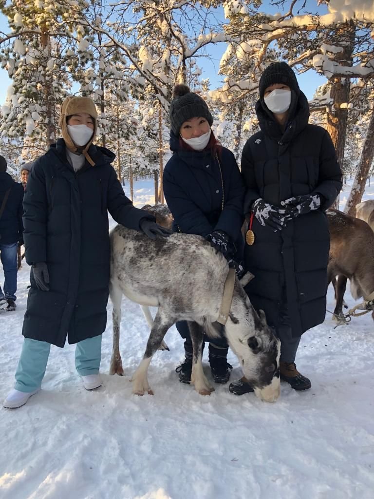 В гости к саами и северным оленям